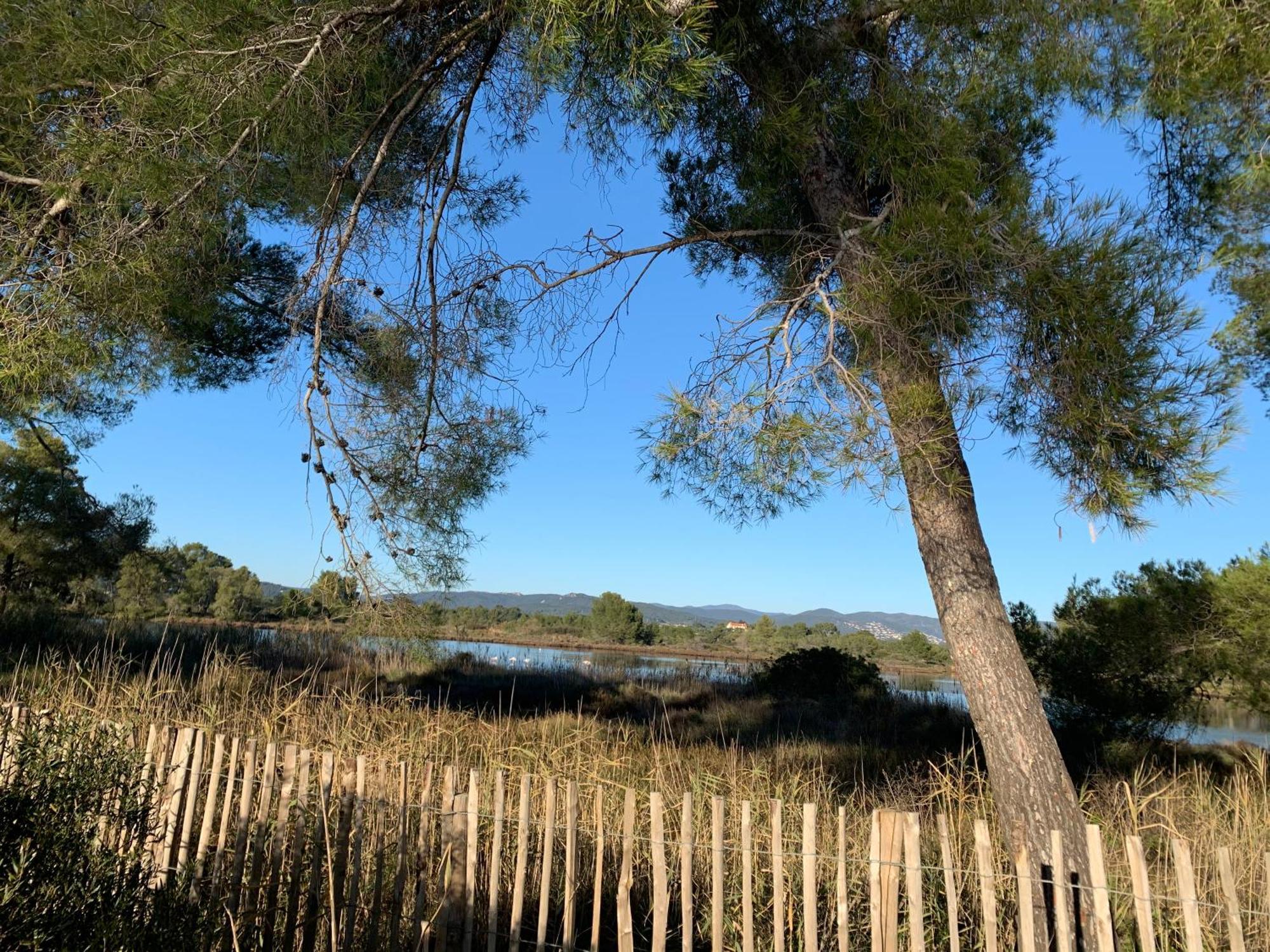 Joli Studio Tres Clair A Proximite Mer Pour 3 Personnes La Londe-les-Maures Exterior foto
